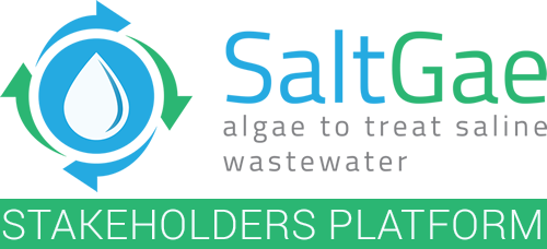 SaltGae Stakeholders Platform